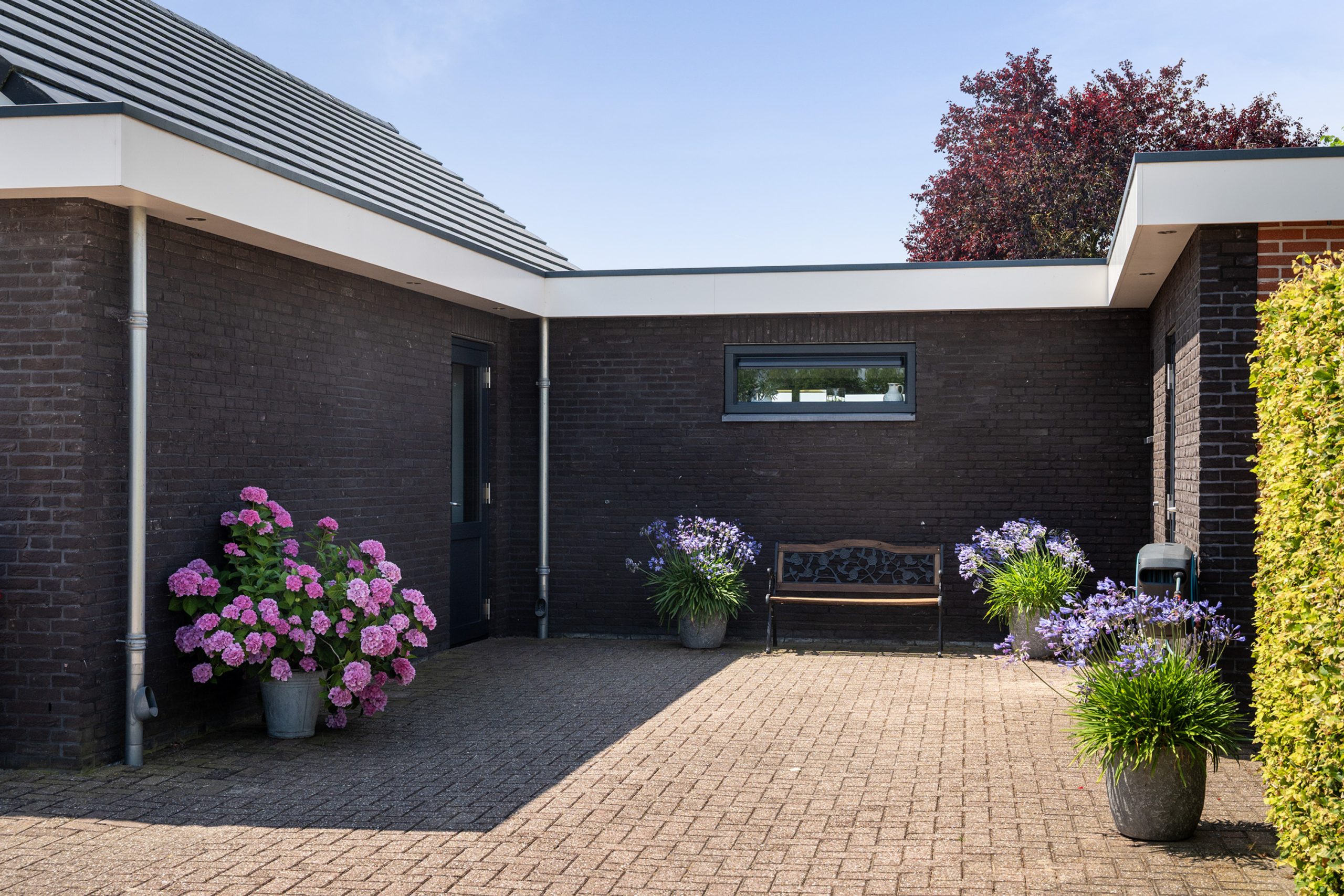 Achtertuin1