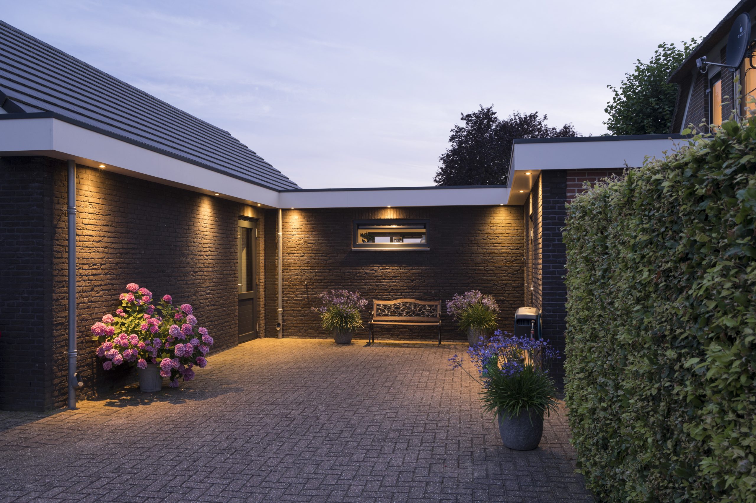 Achtertuin1