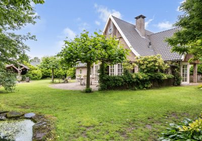 Achtertuin_02