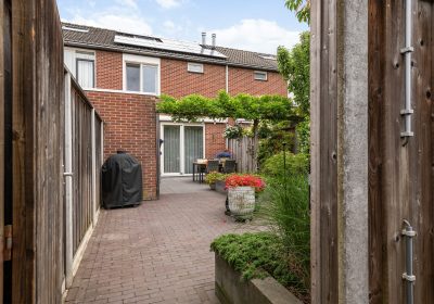 Achtertuin_07