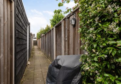 Omgeving_01
